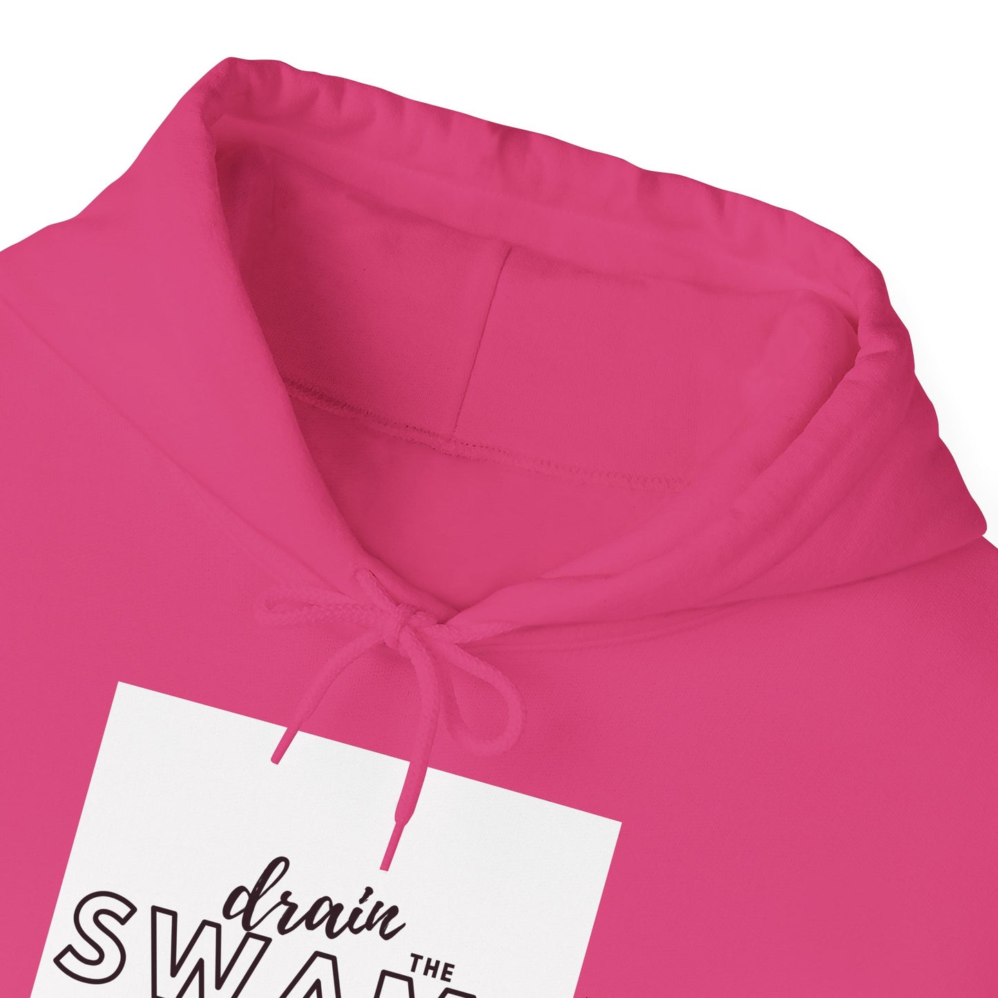 Drain the Swamp Hoodie