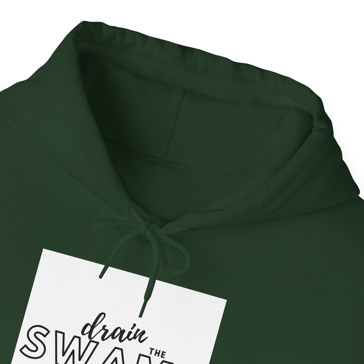 Drain the Swamp Hoodie